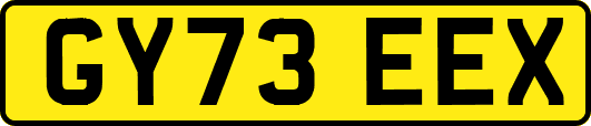 GY73EEX