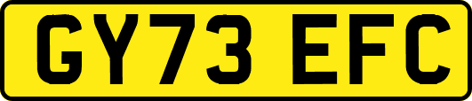 GY73EFC