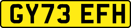 GY73EFH