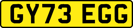 GY73EGG