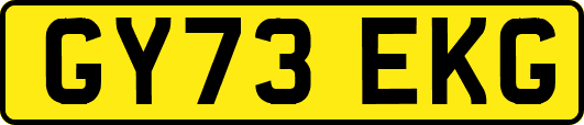 GY73EKG