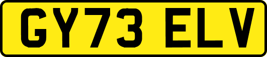 GY73ELV