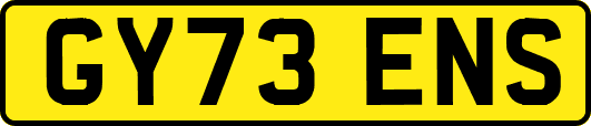 GY73ENS