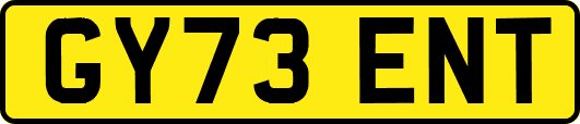 GY73ENT