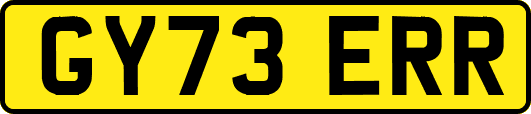 GY73ERR