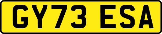 GY73ESA