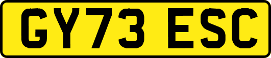 GY73ESC