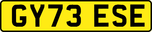 GY73ESE