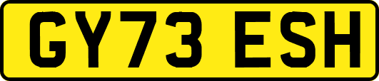 GY73ESH