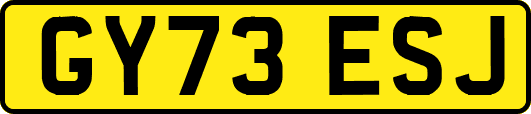 GY73ESJ