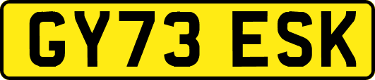 GY73ESK