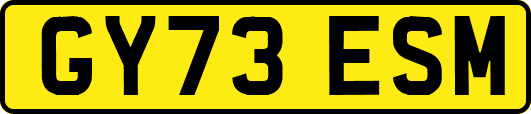 GY73ESM