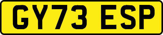 GY73ESP