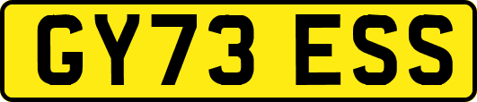 GY73ESS