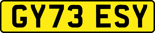 GY73ESY