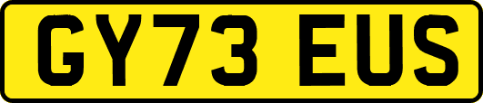 GY73EUS