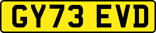 GY73EVD