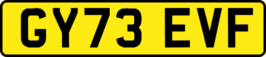 GY73EVF
