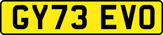 GY73EVO