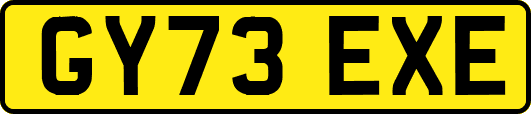 GY73EXE