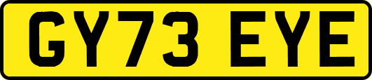 GY73EYE