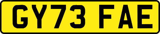 GY73FAE
