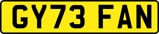 GY73FAN