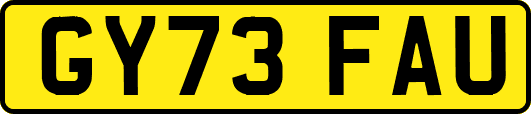 GY73FAU