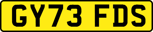 GY73FDS