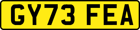 GY73FEA