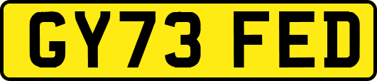 GY73FED