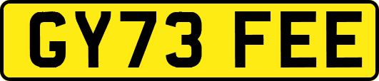 GY73FEE