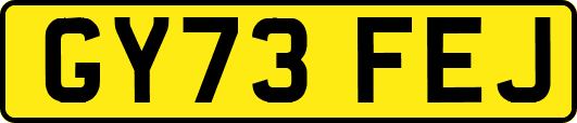 GY73FEJ
