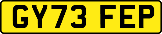 GY73FEP