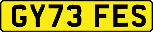 GY73FES