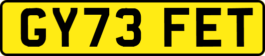 GY73FET