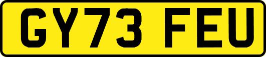 GY73FEU