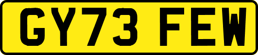 GY73FEW