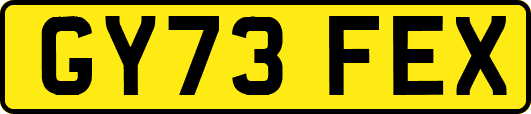 GY73FEX