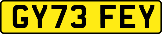 GY73FEY