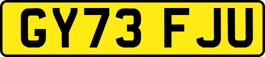 GY73FJU