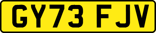 GY73FJV