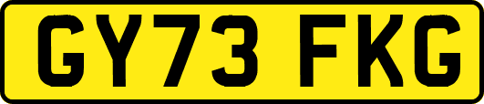 GY73FKG