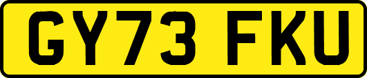 GY73FKU