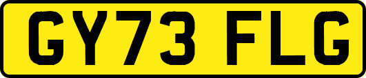 GY73FLG