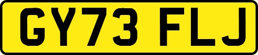 GY73FLJ