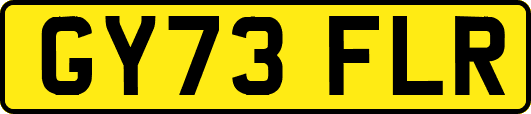 GY73FLR