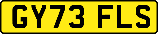 GY73FLS