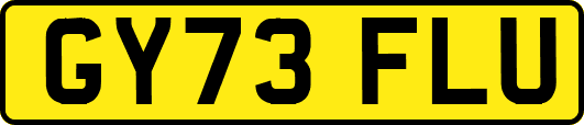 GY73FLU