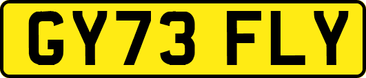 GY73FLY
